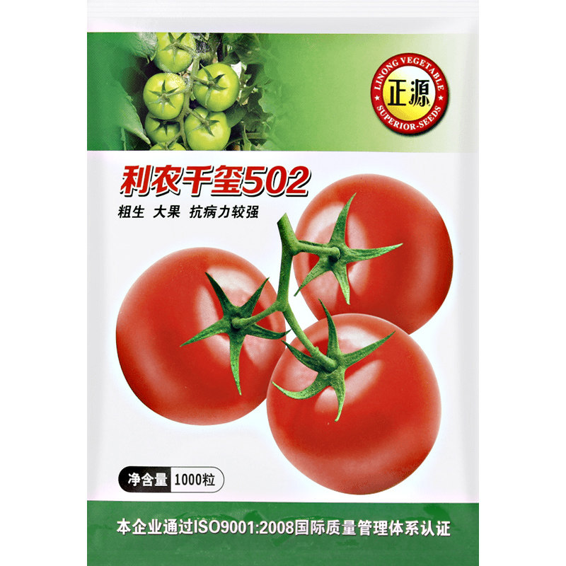 红果西红柿种籽四季盆栽蔬菜种孑