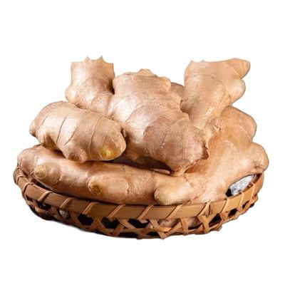 山东大姜老姜优质生姜风干姜新鲜老黄姜1斤3斤5斤包邮