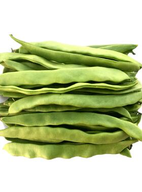 云南扁豆角当季新鲜时令应季蔬菜