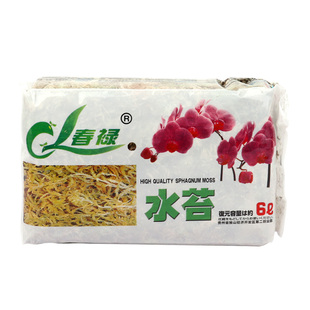 水苔蝴蝶兰专用兰花营养土文心兰石斛优质干苔藓乌龟冬眠爬宠垫材