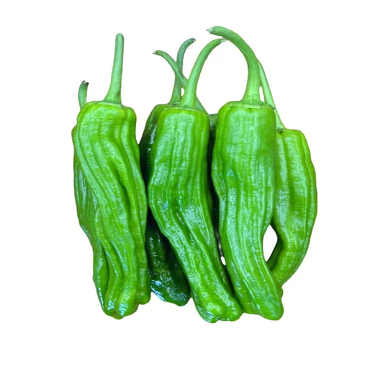 【顺丰包邮】10斤农家新鲜薄皮辣椒虎皮青椒不辣微辣芜湖泡椒蔬菜