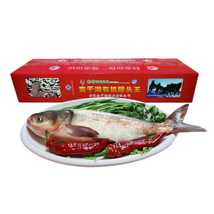 查干湖冬捕有机胖头鱼12斤查干湖鱼年货春节礼盒海鲜年夜饭大礼包