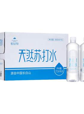 长白山天泉天然苏打水