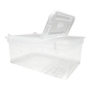 人渣盒子大号爬宠饲养盒乌龟缸爬虫角蛙蜘蛛蜗牛仓鼠寄居蟹守宫箱