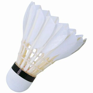 红双喜羽毛球12只装比赛训练6只尼龙球耐打复合软木比赛羽球EG12