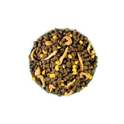 泰迪营养金毛全期狗粮幼犬