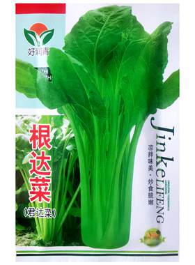 根达菜种子牛皮菜厚皮菜莙荙菜籽
