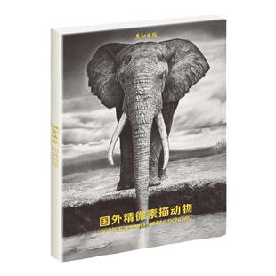 国外精微素描动物临摹卡明信片学习卡高清16张临摹卡大尺寸文创高清画册集艺术手绘插画文艺复古圣诞节日礼物贺卡出类艺术画片集