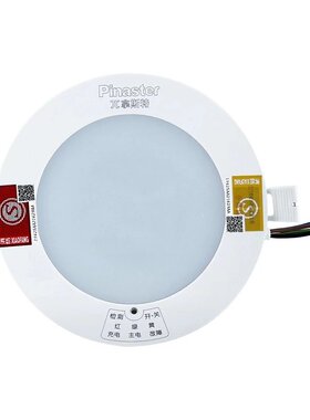 π拿斯特一体化消防应急筒射灯