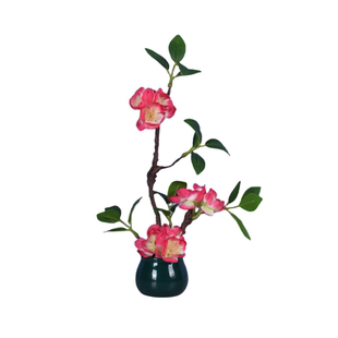 西餐厅酒店盘饰用品摆盘装饰花草刺身创意小摆件冷菜意境菜点缀花