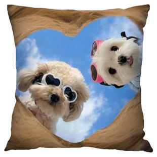 可爱狗狗萌宠抱枕双面定制靠枕客厅沙发床头靠背汽车椅子腰靠枕头