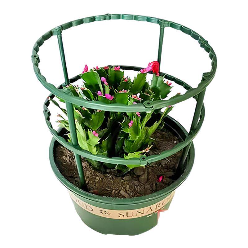 花架子室内家用支架通用型蟹爪兰花架莲花护叶架园艺盆栽支撑杆