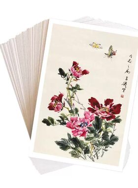 王雪涛牡丹临摹卡高清32张