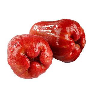 顺丰礼盒海南黑金刚莲雾新鲜水果当季脆甜雾莲孕妇整箱包邮一级5