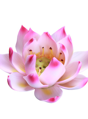 招财假山盆景摆件水晶球