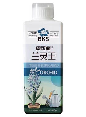 兰香王兰花专用营养液绿花生长叶