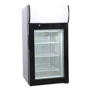 迷你冷冻小型冰柜冰淇淋雪糕立式展示柜冰激凌酸奶冰冰箱