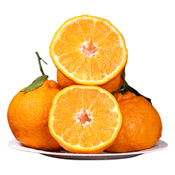 【商超品质】正宗四川不知火丑橘