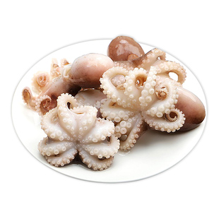 丹东黄海大鱿鱼冷冻新鲜超大鱿鱼海鲜整只海捕烧烤铁板鱿鱼无泡药