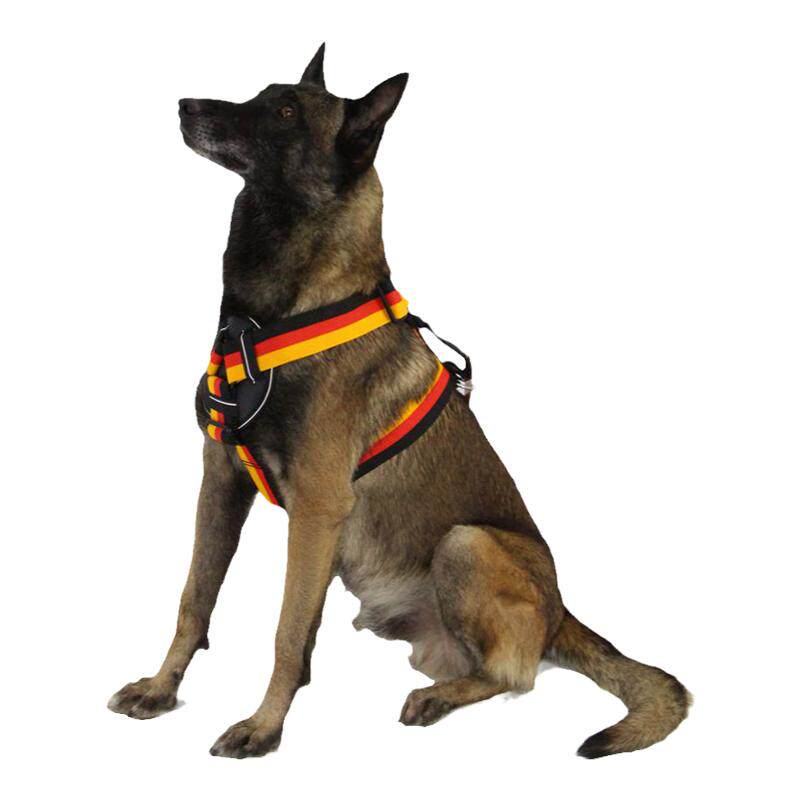 中大型犬扑咬胸背带遛狗