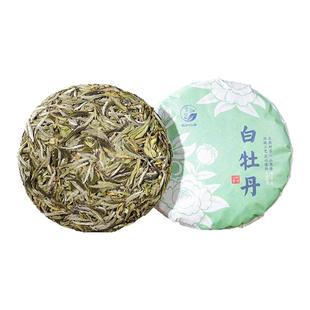 2025年锦屏高山白牡丹F3+ 清明前 花香毫香蜜甜 政和白茶饼 100g