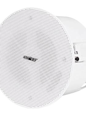 WIFI吸顶音响嵌入式店铺商用