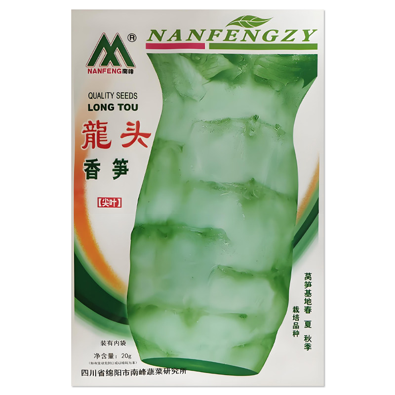 龙头香笋四季莴笋种子