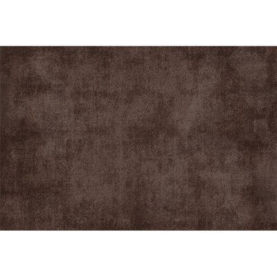 诗缇客厅地毯玄关耐脏好打理地垫