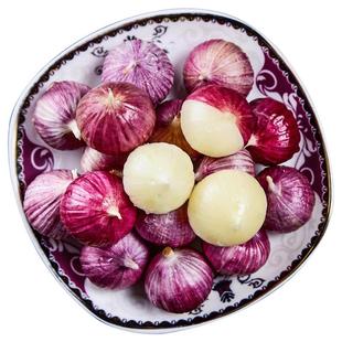 独头蒜紫皮云南2025湿蒜5斤独蒜大蒜头批发新蒜新鲜蒜头干大蒜10