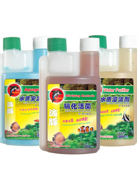 海豚硝化细菌水质澄清剂安定剂开