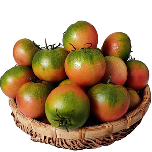 正宗铁皮柿子盐碱地铁皮柿新鲜水果草莓柿子番茄现摘现发营养顺丰