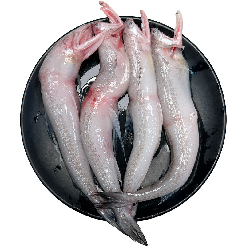 当天新鲜野生豆腐鱼龙头鱼九肚鱼