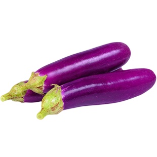 紫长茄子种子鲜嫩高产皮薄浓郁传家宝阳台春秋盆栽菜园易种蔬菜