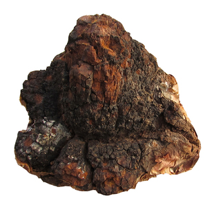 桦褐孔菌 长白山野生白桦茸 黑金 桦树茸 250克 非俄罗斯