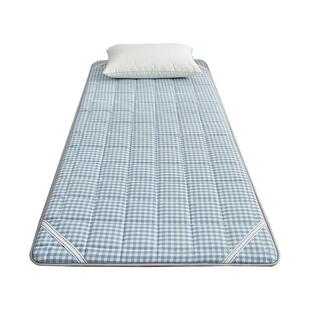 冬夏两用凉席床垫宿舍儿童学生午休床幼儿园午睡垫打地铺垫子睡垫