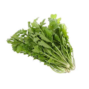 荠菜种子大叶阳台盆栽可种野生荠荠菜种籽孑不挑环境干净好养蔬菜