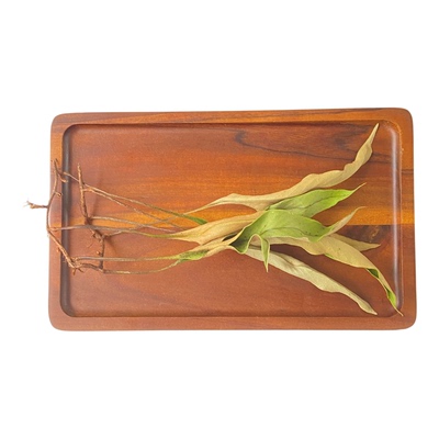 贵州野生石韦草中药材干货石背柳大叶石苇根结石排茶石皮金草石兰