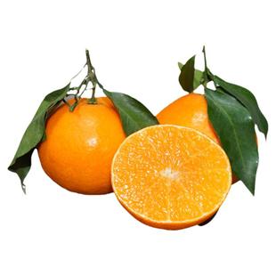 四川爱媛38号果冻橙10斤特级大果甜手剥橙子整箱新鲜应当季水果桔
