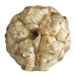 宜兴百合礼盒装2025年新鲜百合礼品装微苦粉糯好吃送礼品产地直发