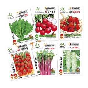 蔬菜种子保证芽率原厂包装