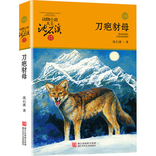 正版包邮 刀疤豺母 沈石溪动物小说升级完整版全本6-7-10-12-15岁儿童文学三四五六年级小学生课外阅读书籍少儿文学故事畅销书籍全