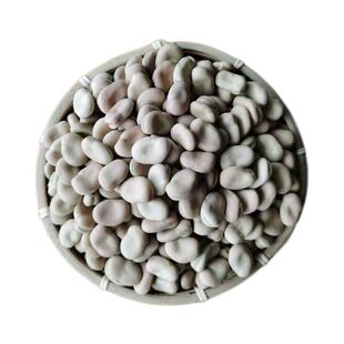 云南特产白蚕豆干货生蚕豆干蚕豆胡豆白皮罗汉豆种子豆新货散装