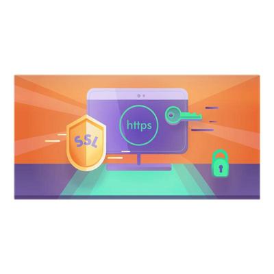 Really Simple SSL Pro WP插件 中文版 网站SSL安全设置检测配置