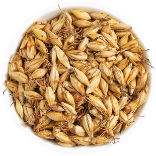 炒麦芽中药材回奶药生麦芽胚芽大麦芽熟麦芽旗舰店正品中药饮片