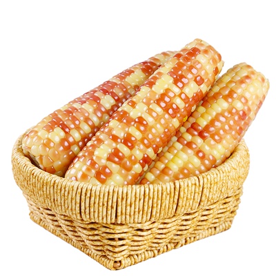 香糯即食小玉米|超1000次加购