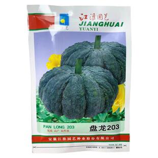 盘龙南瓜种子疙瘩南瓜菜园采摘观光园观赏春夏秋冬季菜籽禾之元种