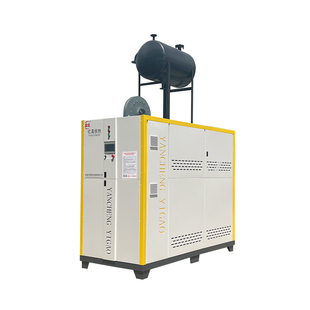 盐亿燃气模温机大型天然气导热油锅炉工业锅炉节能环保反应釜加热