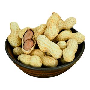 新货5斤特价原味蒜香山核桃味炒货山东珍珠花生带壳坚果年货零食