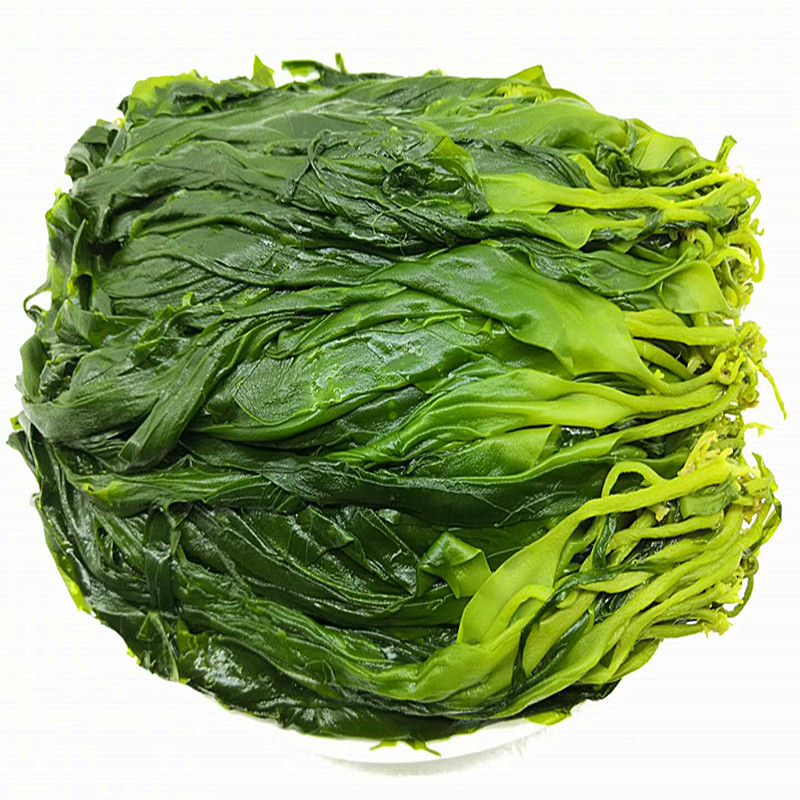 高品质霞浦海带苗特级嫩苗
