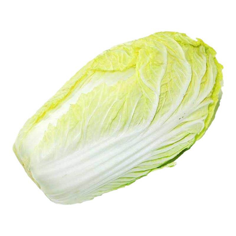 新乡好吃小包头白菜种子秋季播种包心白菜大白菜种子抗病壮满红心